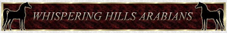 Whispering Hills Arabians logo